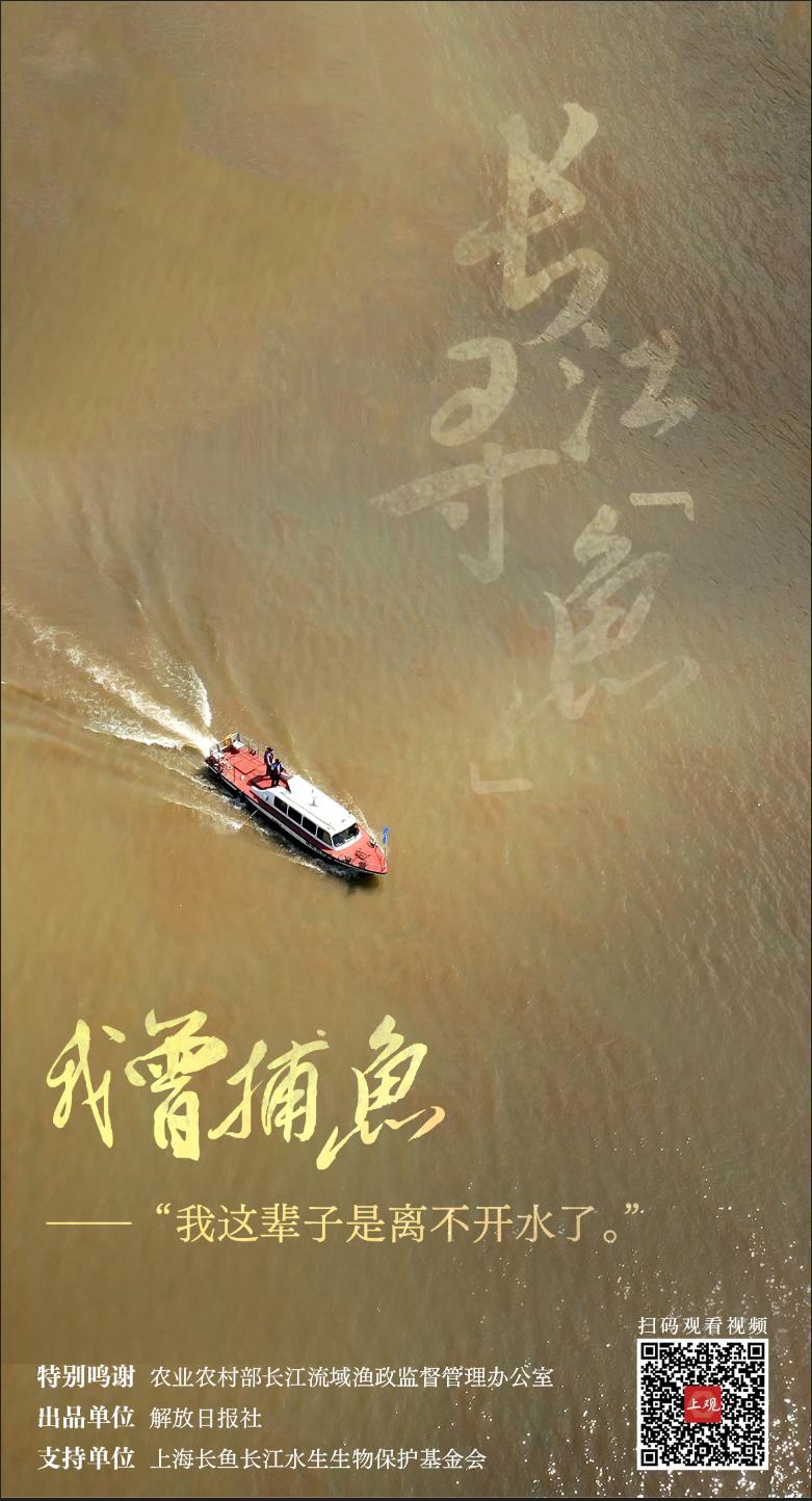 《长江保护法》实施三周年,十张寻鱼海报看生态向好