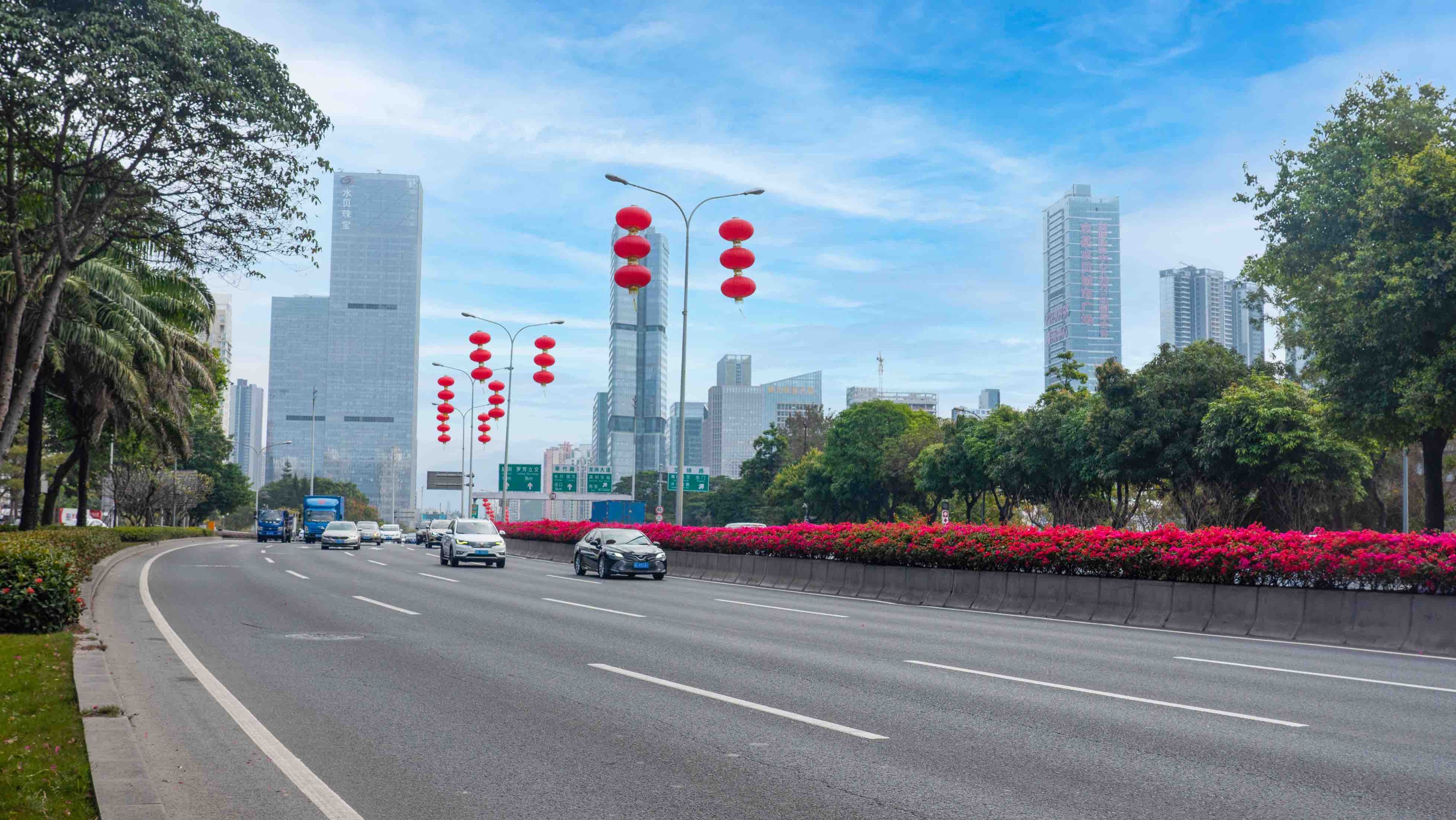 罗湖高颜值道路美不胜收!布心路—泥岗路簕杜鹃花带成春光大道