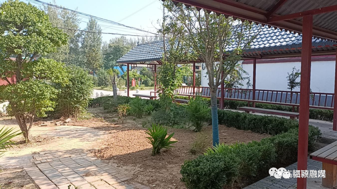 杜曲镇:推进人居环境整治,助推和美乡村建设