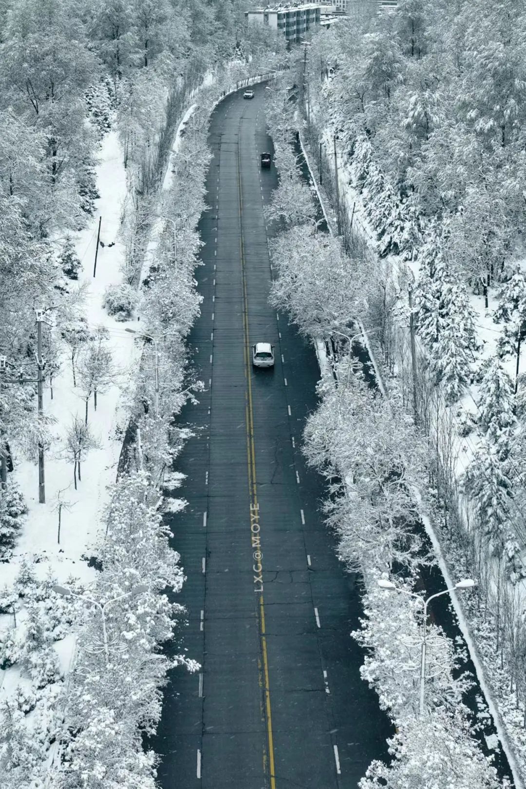 今早西宁雪中美景,看了么?