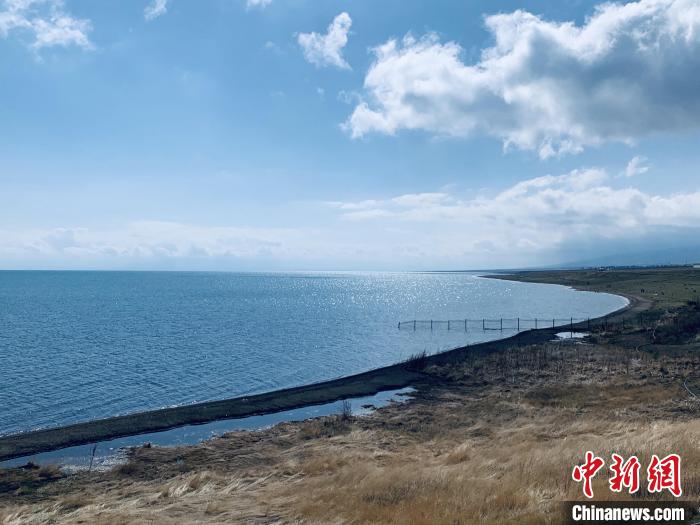 青海湖是淡水湖还是咸水湖,面积约是4500的简单介绍