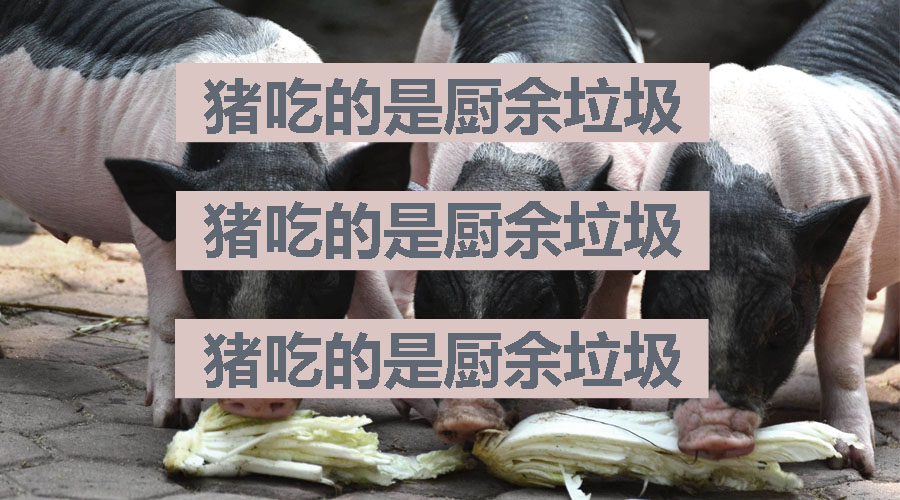 其他什么都不想记还想扔的正确,直接打开官方推荐的"北京市垃圾分类