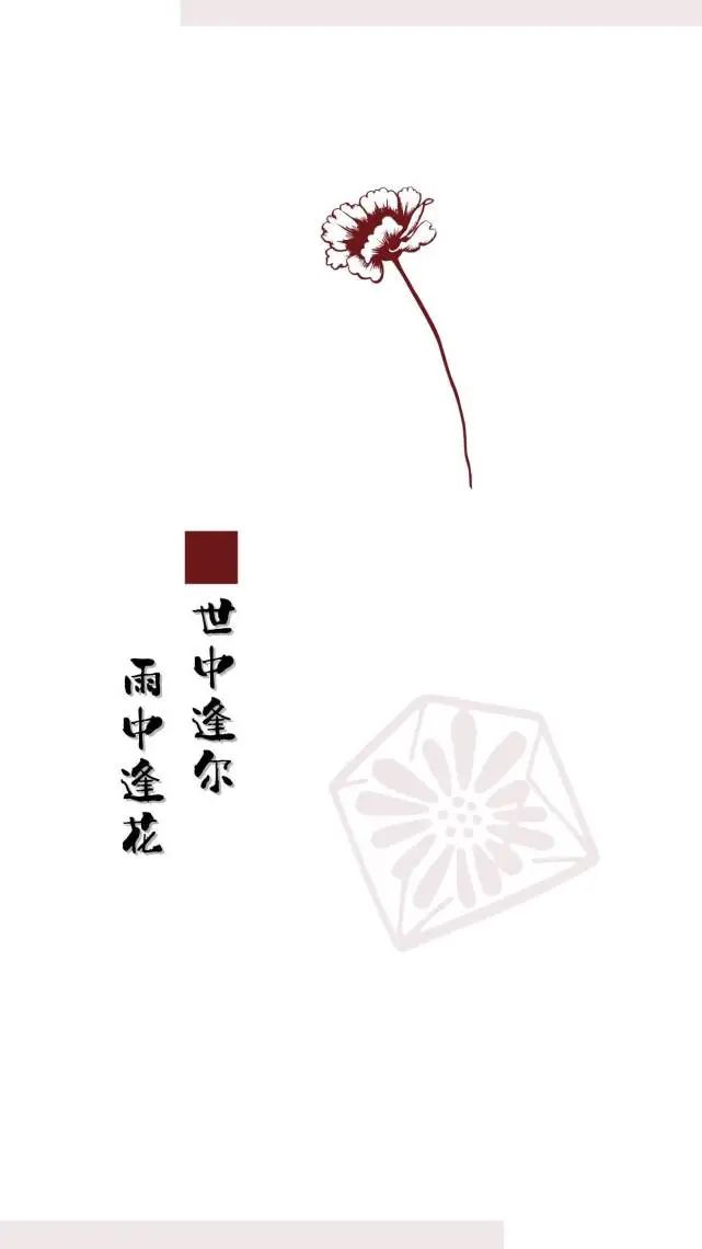 原耽文字壁纸|我不是来救你的,我是来爱你的