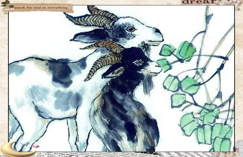 生肖羊2023婚姻运势(属羊人2023年运势运程)