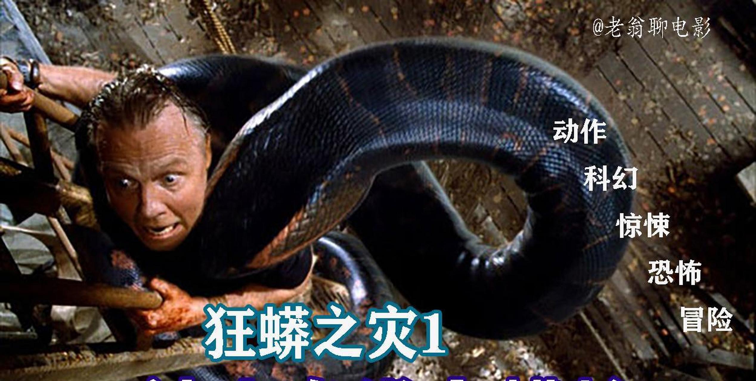 蟒蛇电影巨蟒图片