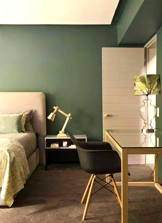 灰绿色:适合大面积上墙的低调颜色