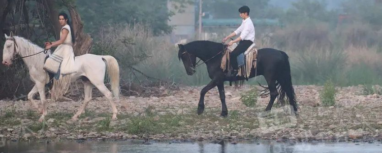 山河表里人物介绍