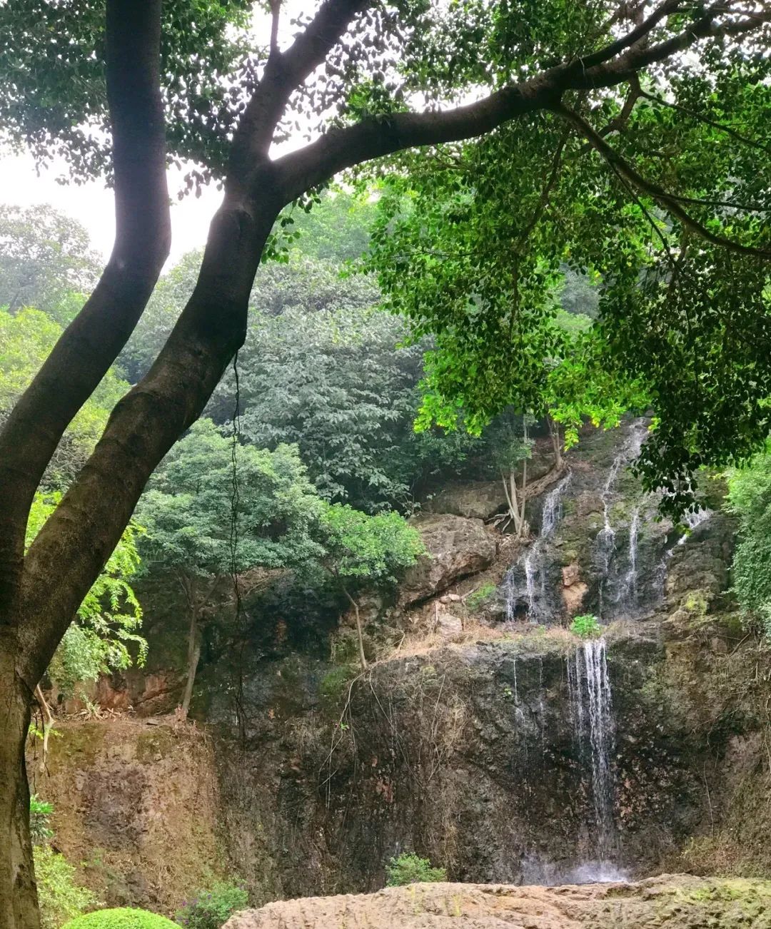 一起爬山吗?佛山人私藏的4大爬山好去处曝光!周末安排!