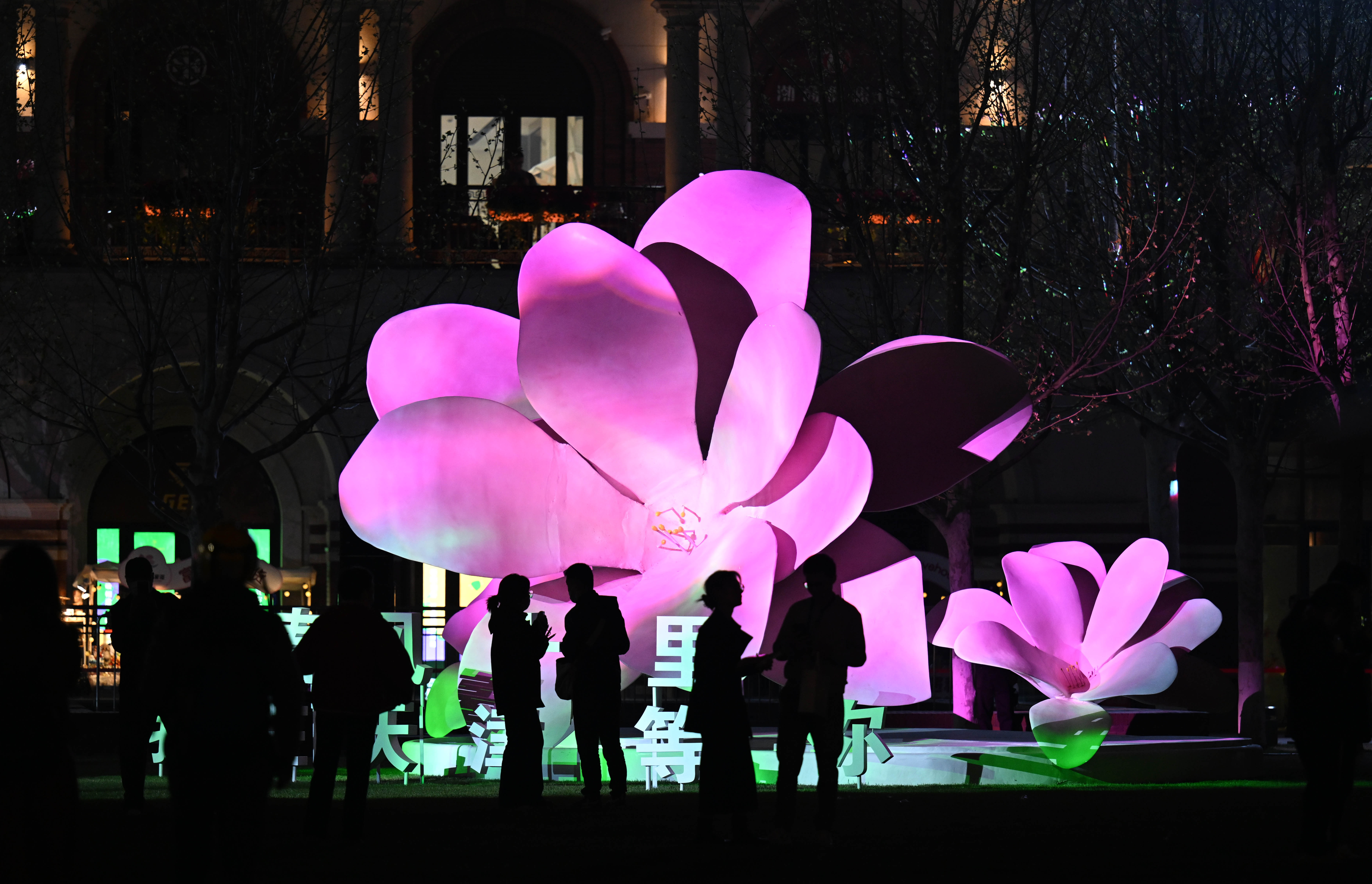 (社会)天津:海棠映红"春日经济"