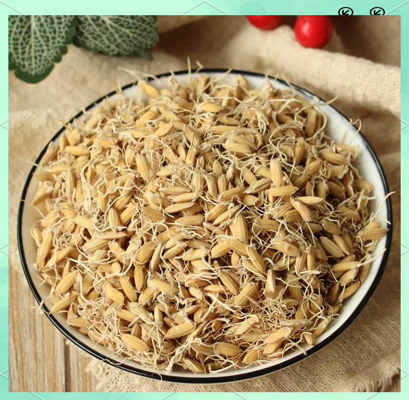 探索中药稻芽:功效,用法与注意事项