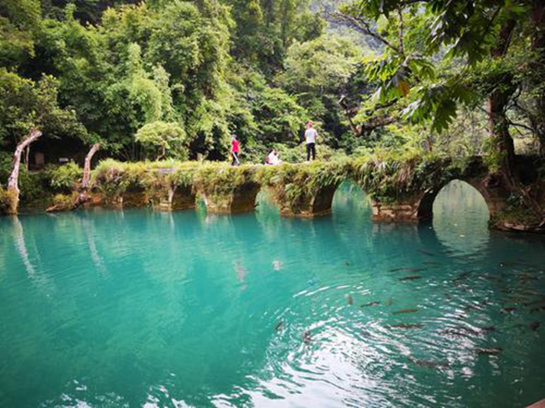 貴州荔波小七孔景區,遊山玩水的絕佳去處,這份旅遊攻略送給大家