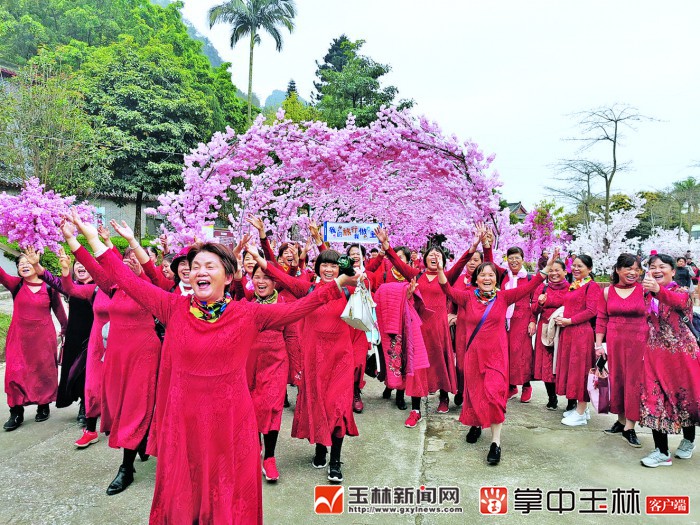 鹿峰山景区三八节迎八千游客共赏旖旎春光