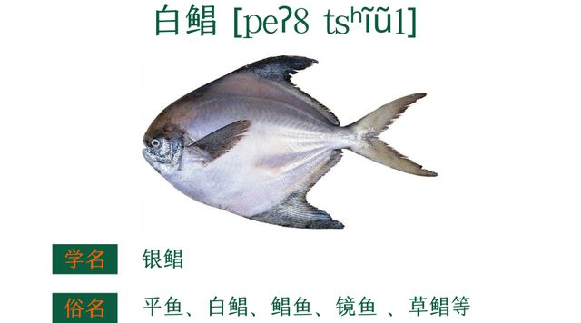 粤菜谱74期 香葱香菜豆豉油清蒸迦魶魚 嘉鱲鱼预防老年失智症食谱