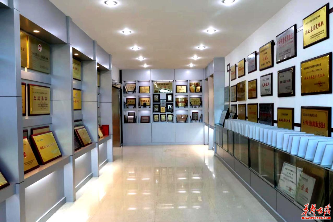 "质"看湖南|高岭集团:向质量要效益 "老字号"焕发新活力