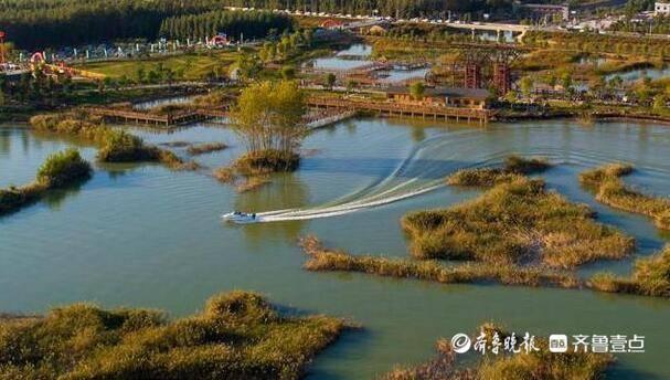 聊城位山黄河公园:赏仿古水车,领略劳动美