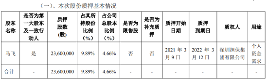 飞荣达董事长马飞图片