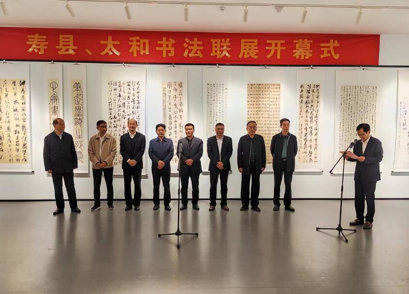 寿县:书法作品联展 共绘盛世图景