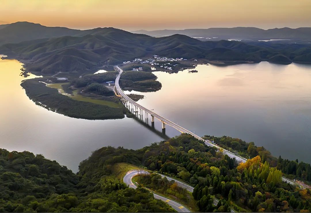 畈油菜花海】【马桥乡村记忆馆】,随后到【大幕山樱花谷】赏野樱花