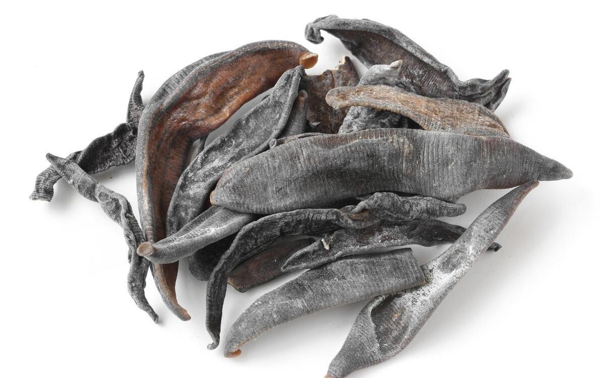 蚂蟥晒干后800元1斤,为什么无人敢养殖?它到底有什么好处?