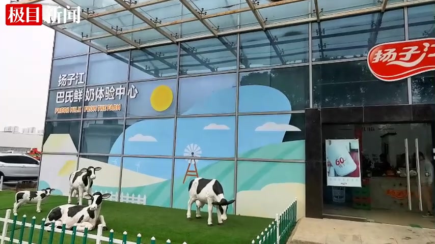 一滴鲜奶的奇妙旅程——楚天小记者走进惠尔康扬子江乳业