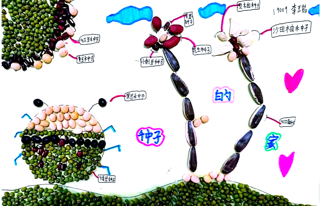 「师生动态」探索种子世界,制作独特标本