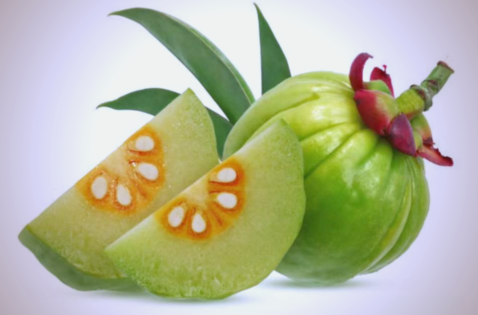 藤黄果:营养丰富的热带果实之选