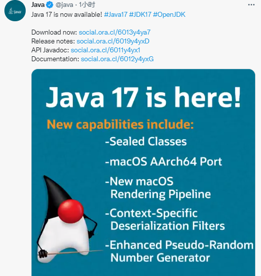 Oracle JDK17给Java开发新视野  第1张