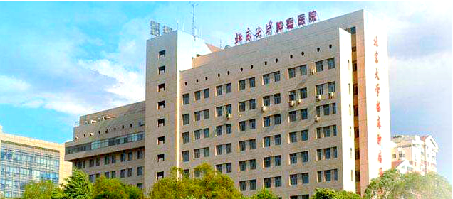 包含北京肿瘤医院、价格亲民,性价比高跑腿预约挂号，办事效率高的词条