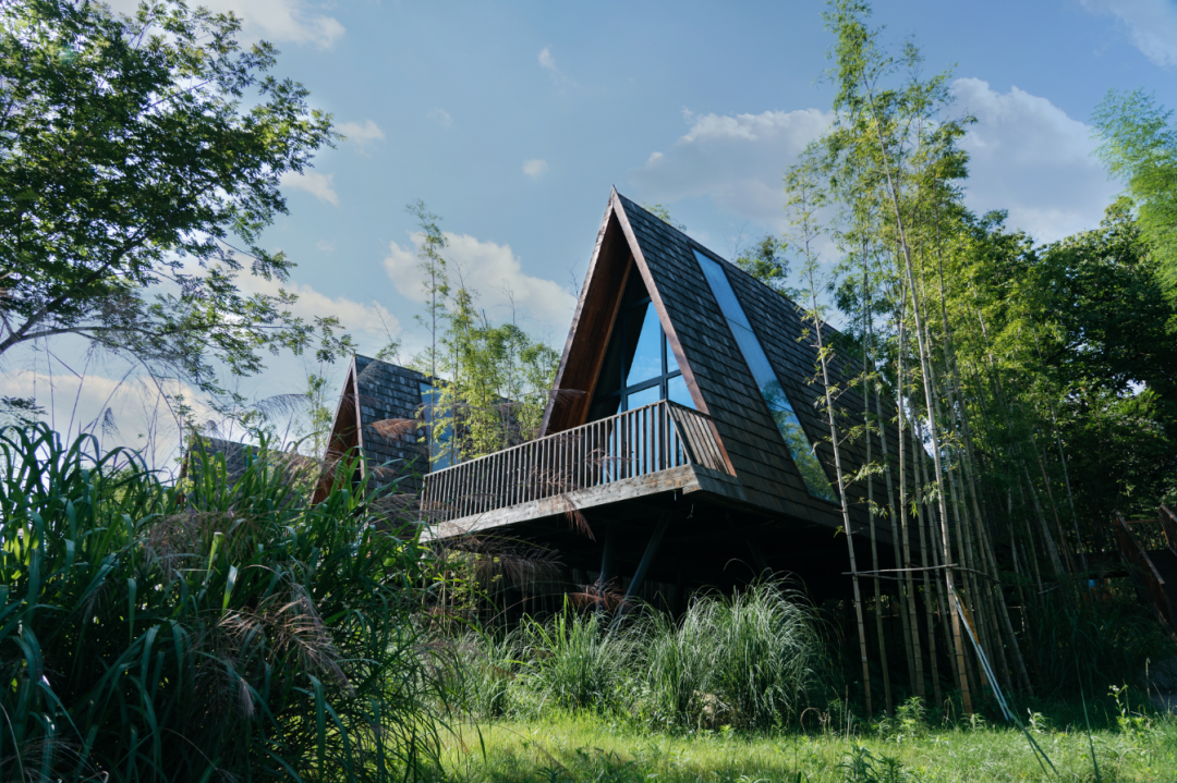 江西婺源:树蛙部落限时特惠 睡进竹海里童话树屋