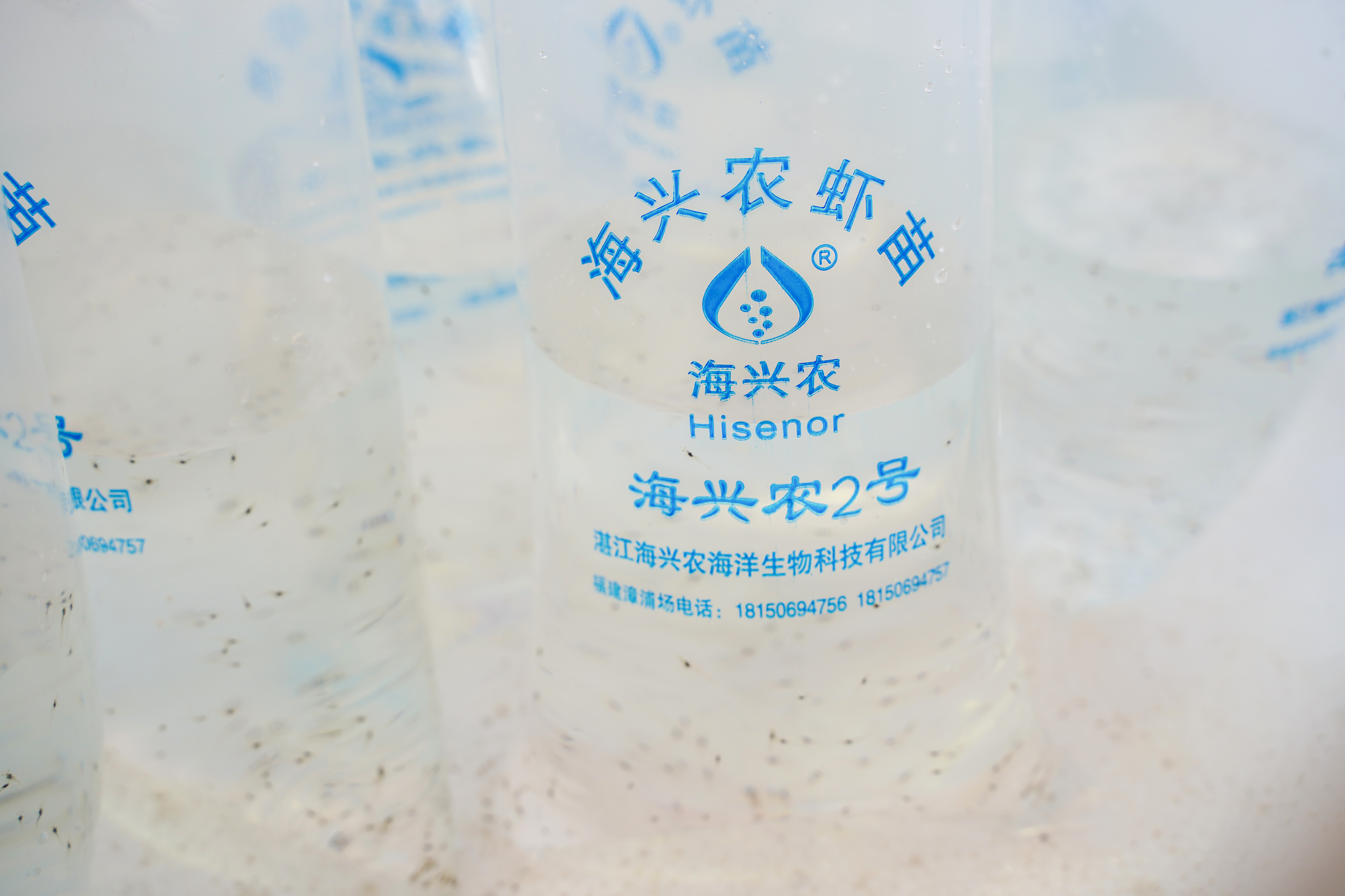 国家级认可!海兴农,百容入选中国水产种业育繁推一体化优势企业