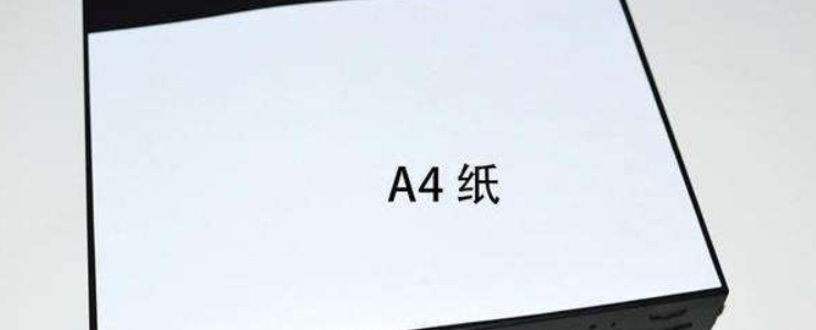 a4纸是12寸吗