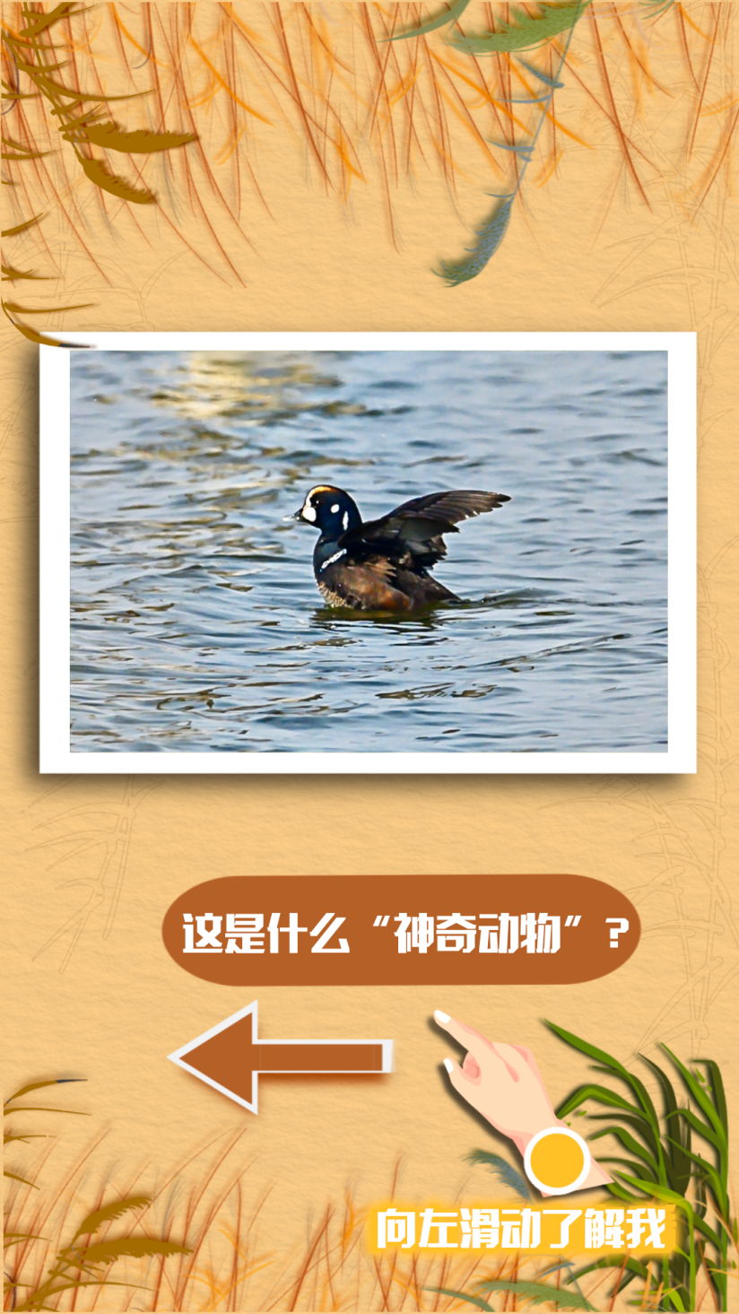 摄> 苏州林业站 供图> 苏州林业站 供图> 阿惠 摄> 南通海底世界 供图