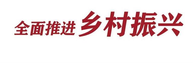 家园环境美 特色产业旺 永登县红城镇宁朔村打造绿色优质农产品基地