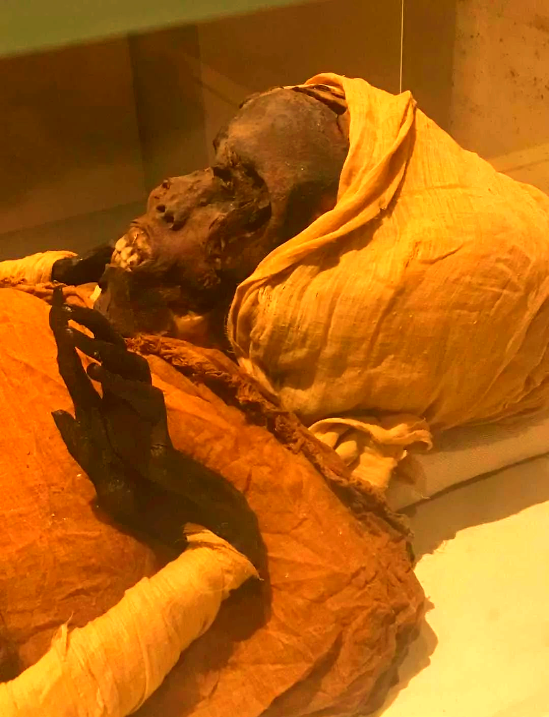 古埃及多位法老及皇室成员木乃伊图片展示