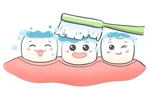 牙缝刷一天使用几次(一支牙缝刷能用多久)