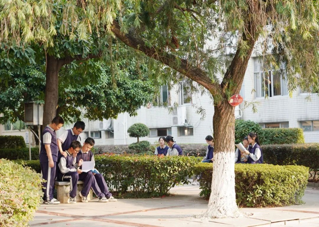 一些学校推进"反凌小卫士"实践项目,取得了不错的实效.