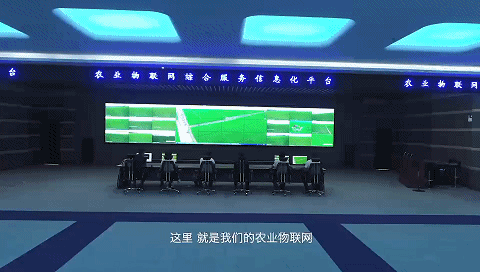 种粮大户张景会的幸福生活