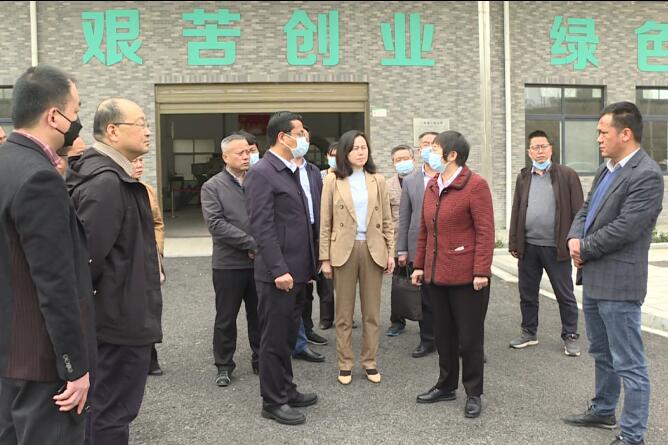 洪再林来红安县调研茶产业链建设和"协商在一线"等政协重点工作推进