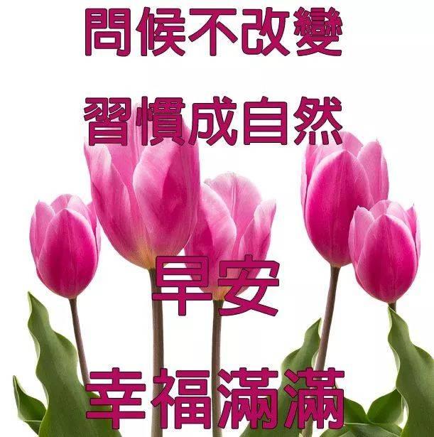 夏日早上好问候语录大全,2021夏季早安问候祝福语图片精选