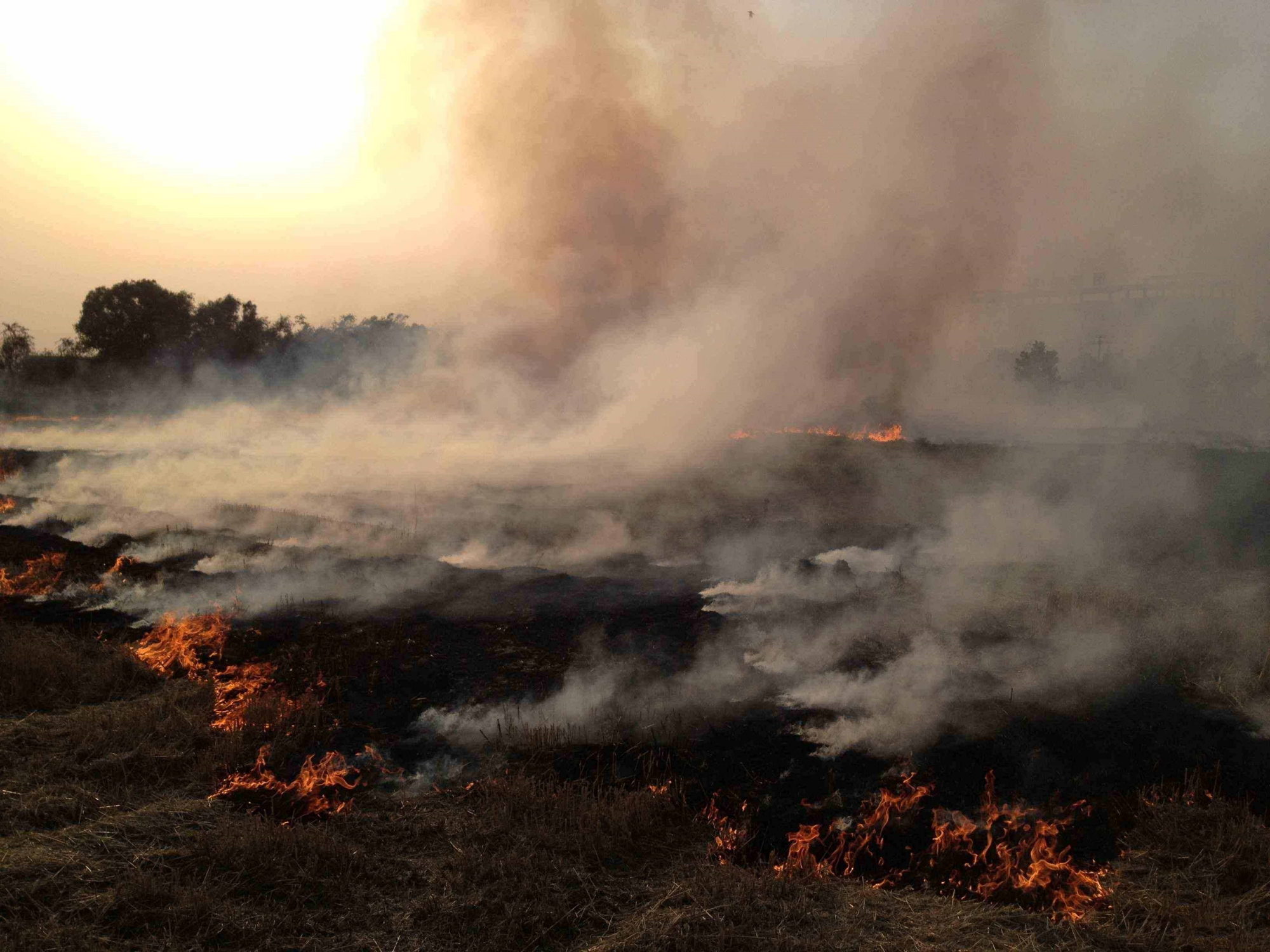 印度海岸线并不短,为何却没有一处海滩出名?换作是你也不会想去