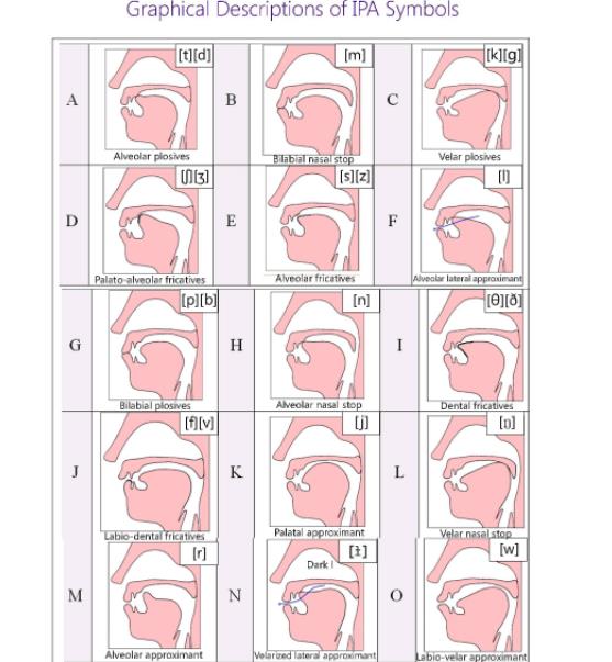 元音发音口型舌位图解图片