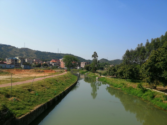 泉港区界山镇:陌上花开,共赴春日之约