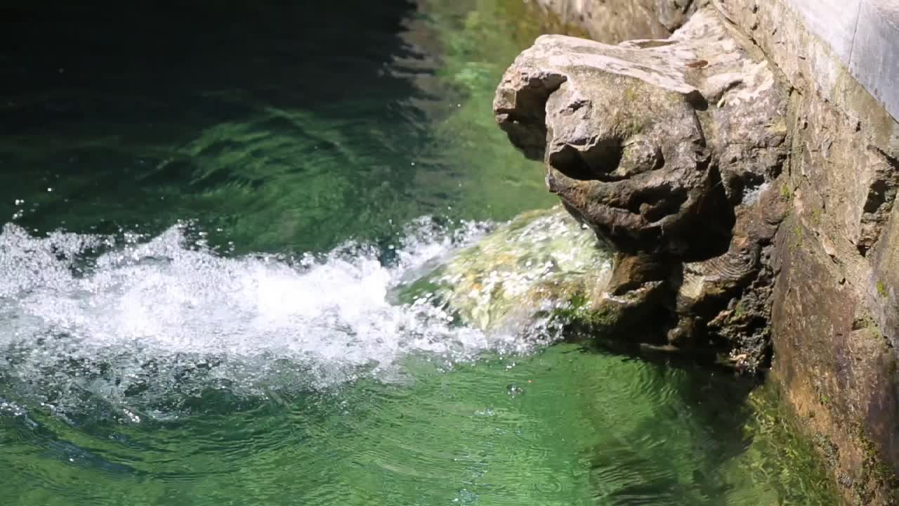 这就是山东·国庆探泉|涌泉竹林:一幅迷人的水墨画,漫步其中忘却尘世