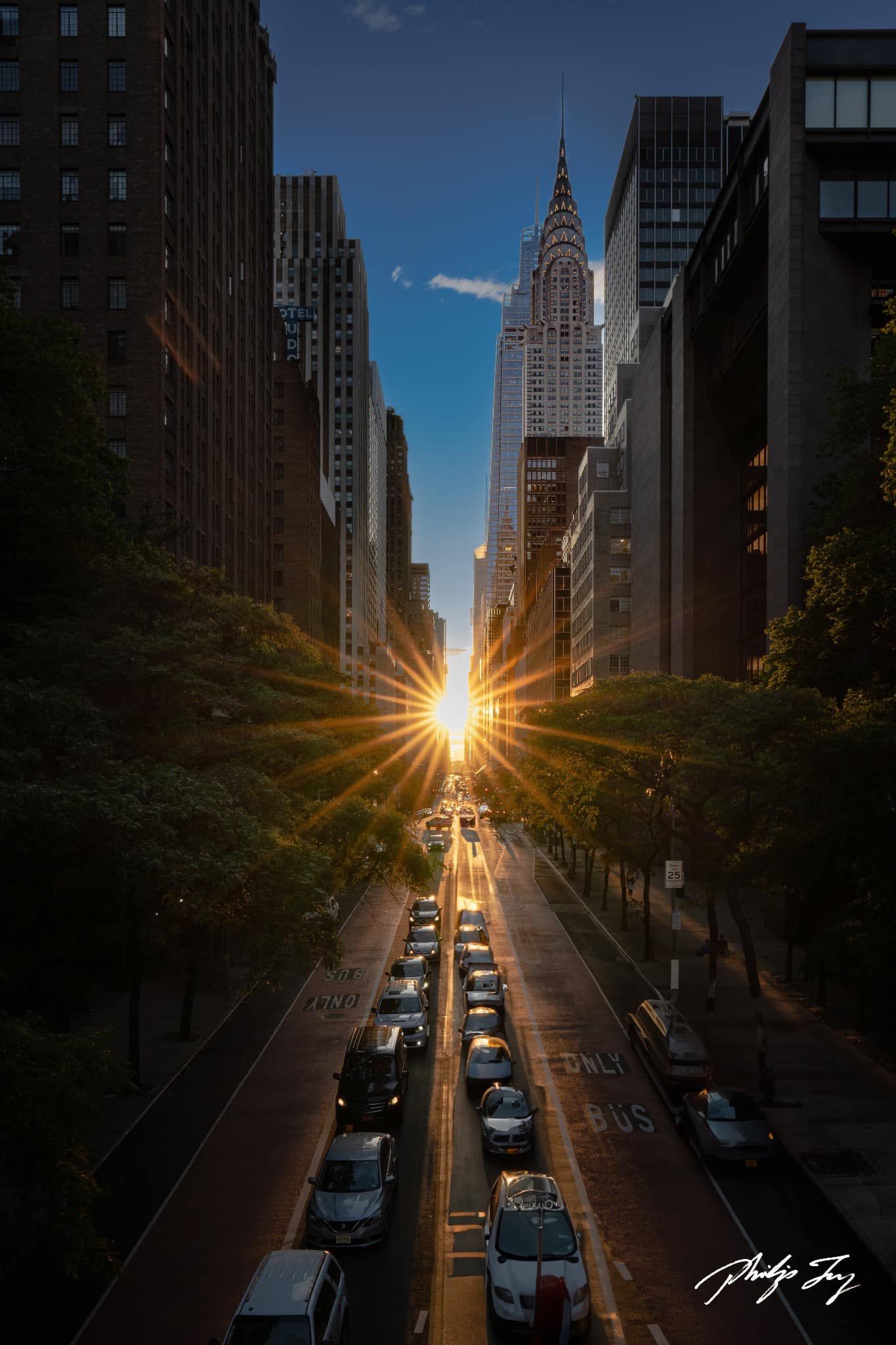 美图欣赏——迎着阳光