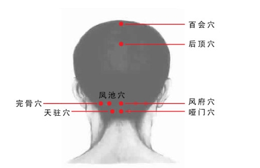 颈后位置示意图图片