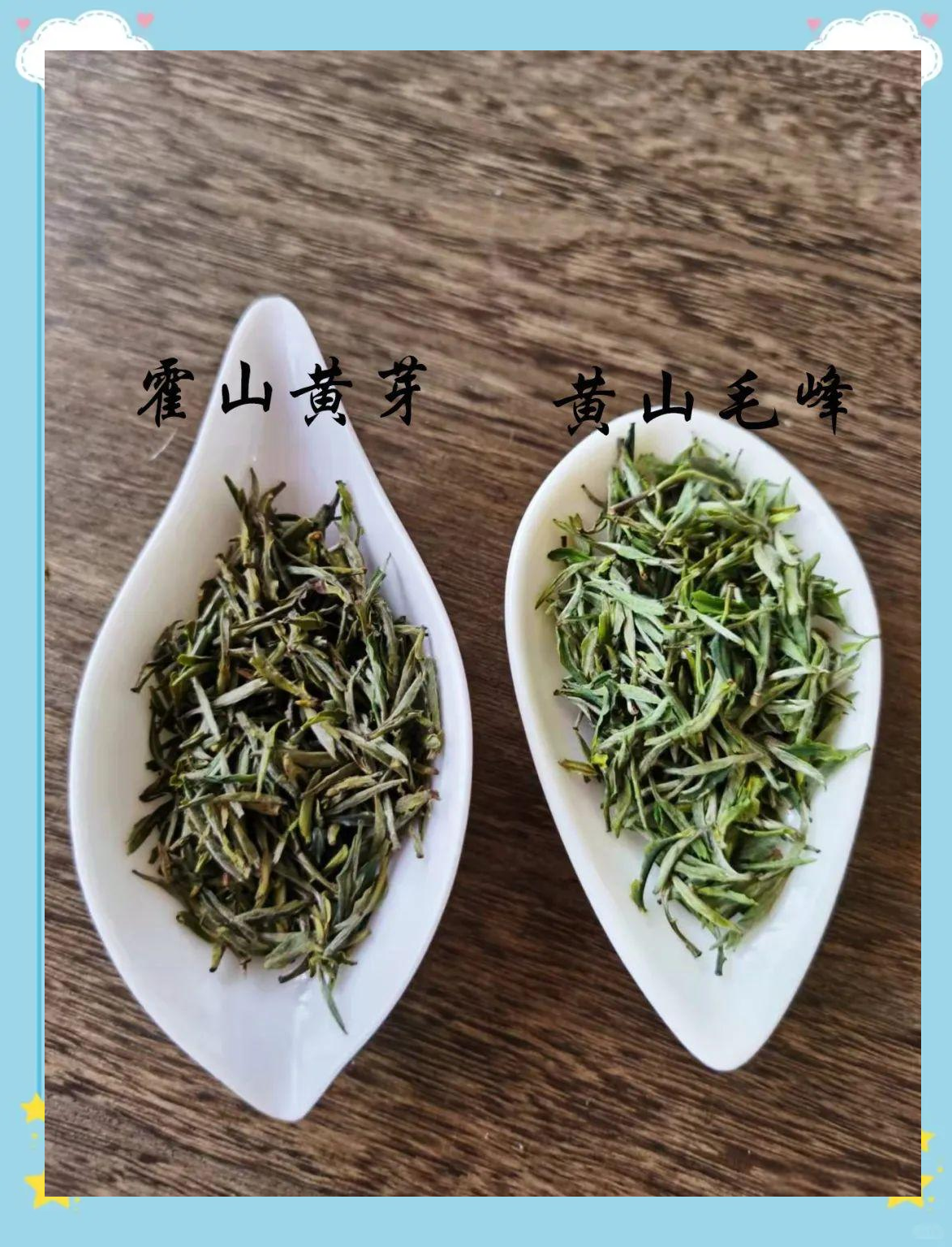 黄茶爱好者必看:霍山黄芽的真正定义
