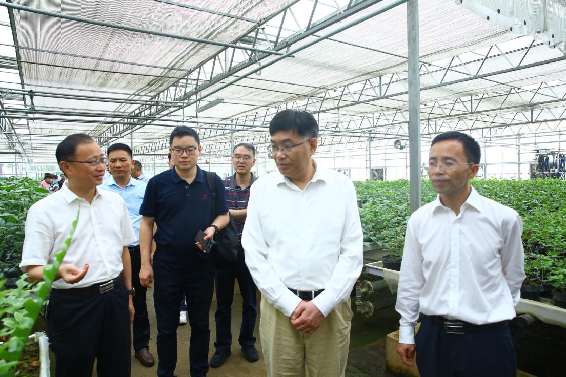 上海中医药大学党委书记曹锡康一行到丹寨县考察中医药产业发展