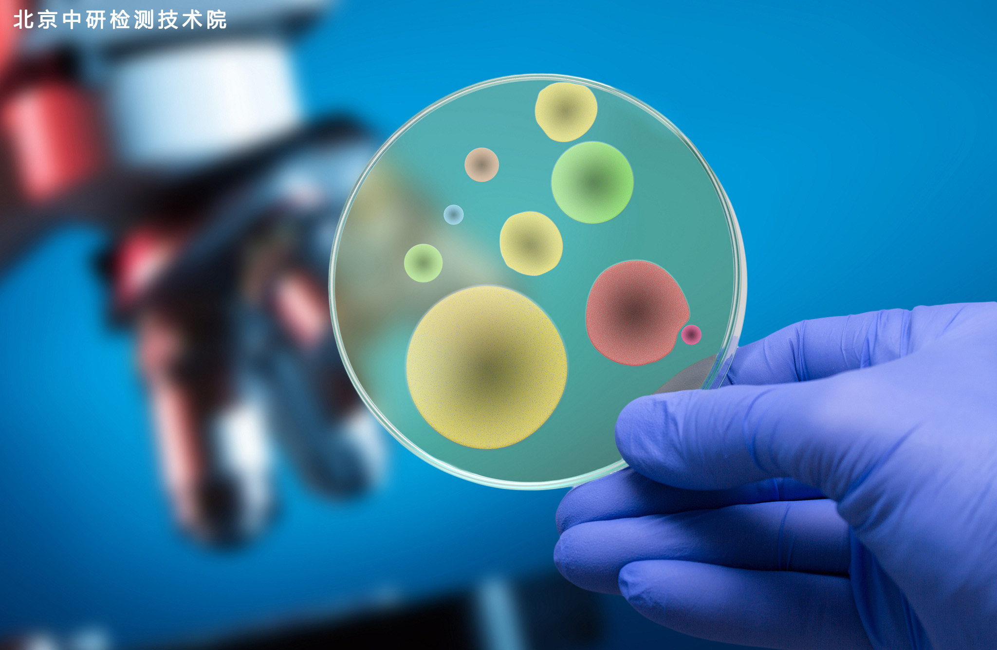 细胞的分析与检测