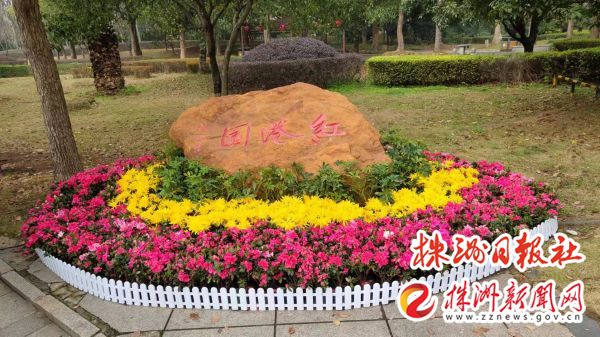 迎新年 荷塘区扮靓大街小巷