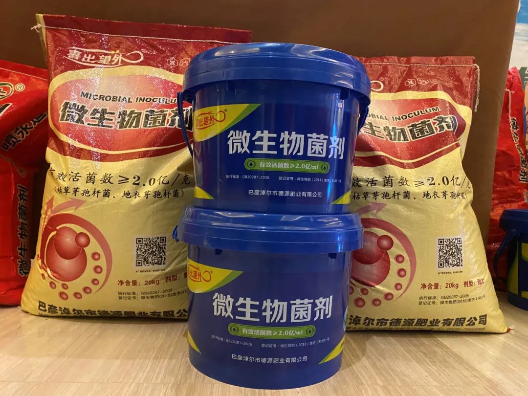 紫牛生物:蜜瓜用上这款微生物菌剂,瓜农喜出望外